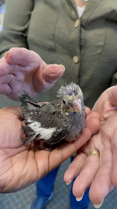 Stewarts bird farm 5