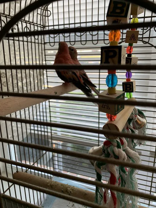 Stewarts bird farm 4