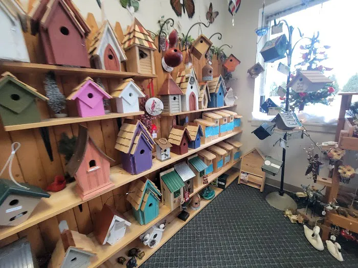 Stewarts bird farm 3
