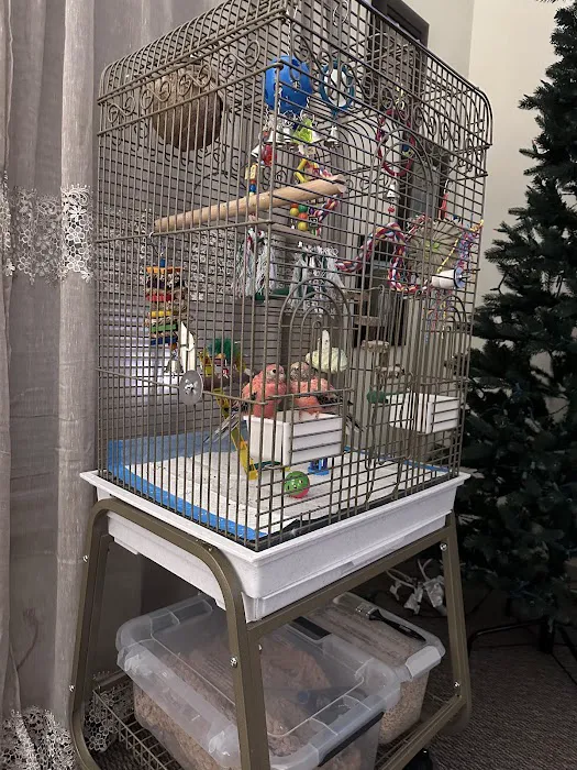 Stewarts bird farm 6