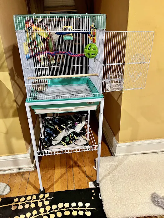 Stewarts bird farm 8