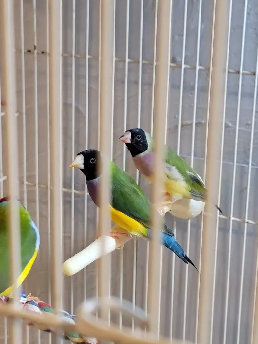 Stewarts bird farm 7