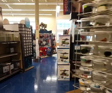 Petco