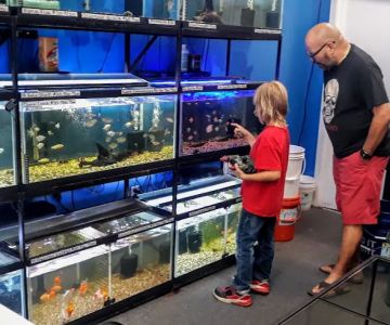 The Fish Tank Guy Inc