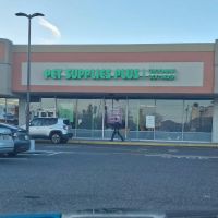 Pet Supplies Plus Port Jefferson Station ico
