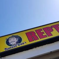 Jungle Bob's Reptile World ico