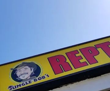 Jungle Bob's Reptile World