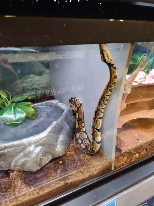 Petco 9
