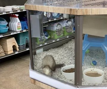 Petco
