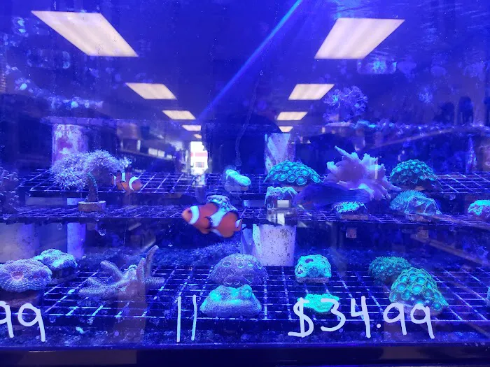Exotic Fish & Pets 5