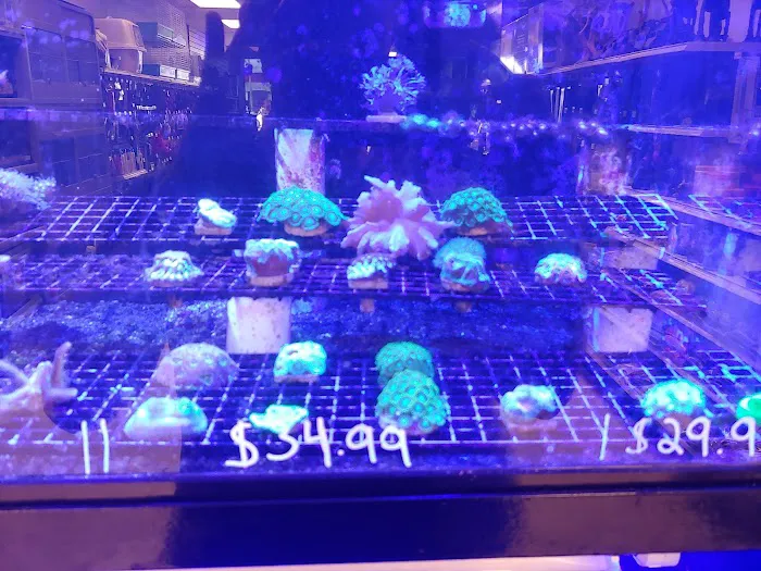 Exotic Fish & Pets 9