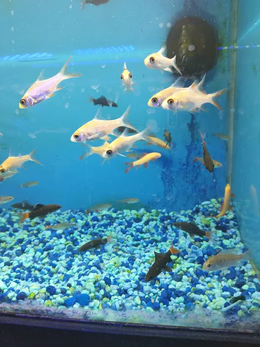 Exotic Fish & Pets 7