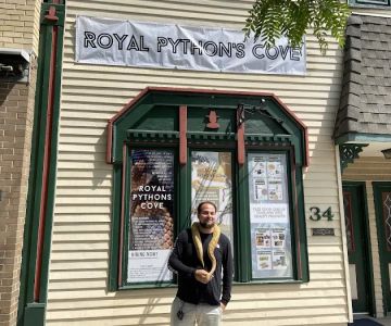Royal Python's Cove