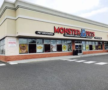 Monster Pets