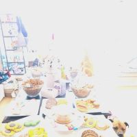 Bark And Biscuit ico