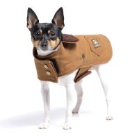 DoggieCoutureNY ico