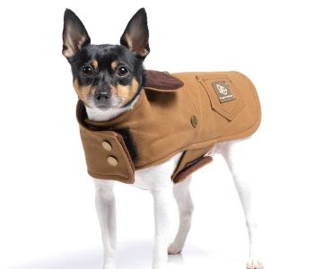 DoggieCoutureNY