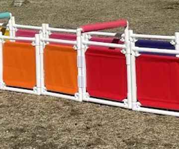 Dog Agility Innovations