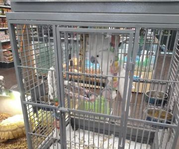 Safari Stan's Pet Center