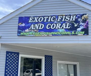 Exotic Fish & Corals