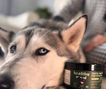 Healthy Woof