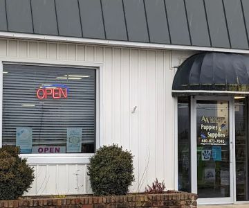 AA Ridgewood Kennels II