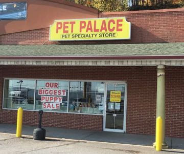 Pet Palace Inc