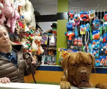 ALL PETS CLUB