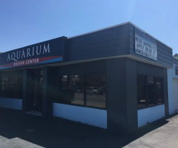 Armco Aquatics