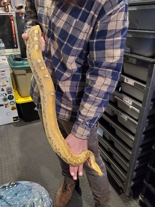 HJS Serpents LLC 2