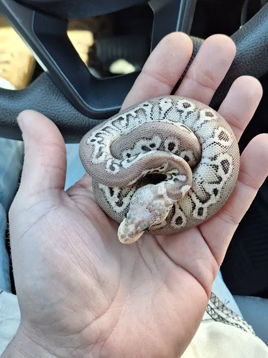 HJS Serpents LLC 5