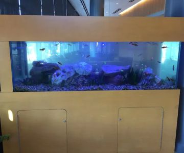 Aquarium Management Systems