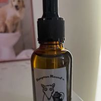 Hampton Hound ico