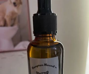 Hampton Hound