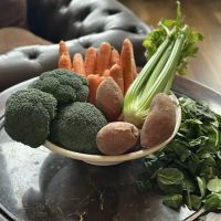 Pet Love Food ico