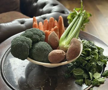 Pet Love Food