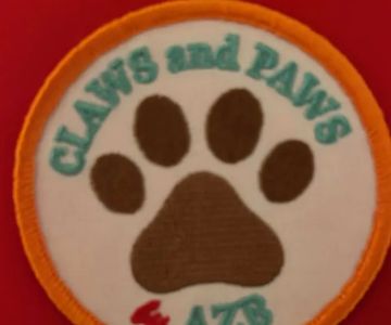Claws and Paws by AZB
