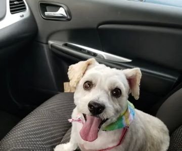Petco