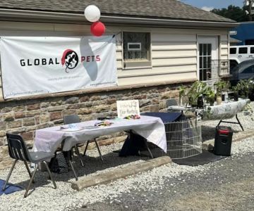 Global Pets
