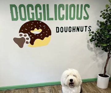 Doggilicious Doughnuts K9 Bakery