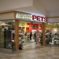 Pet City ico