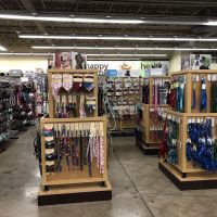 Petco ico