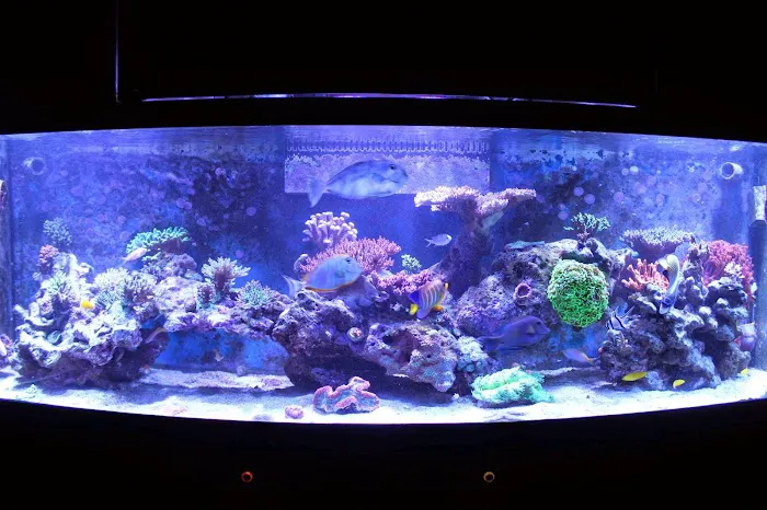 Marine Design And Service 2