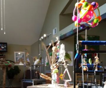 Parrot & Bird Emporium Inc