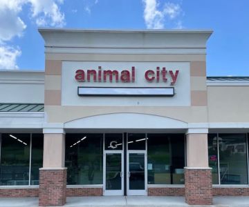 Animal City