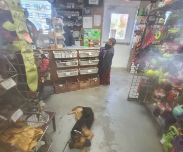 One Stop Pet Shop
