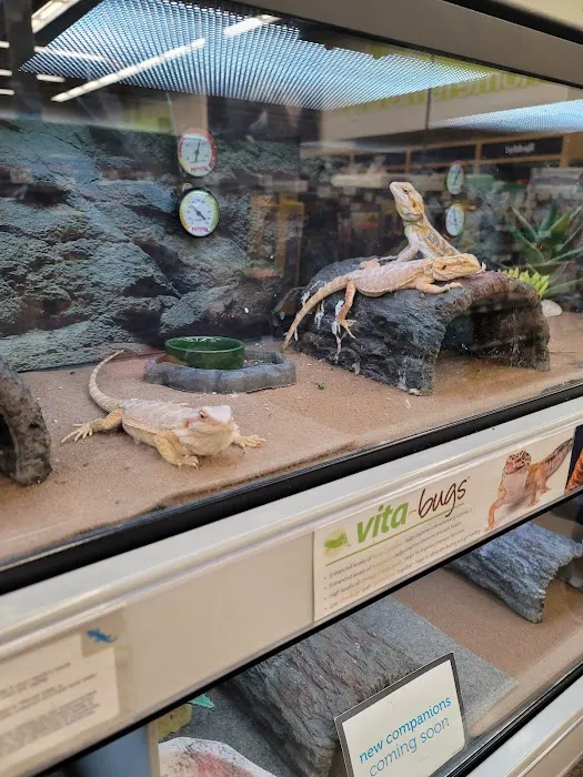 Petco 3