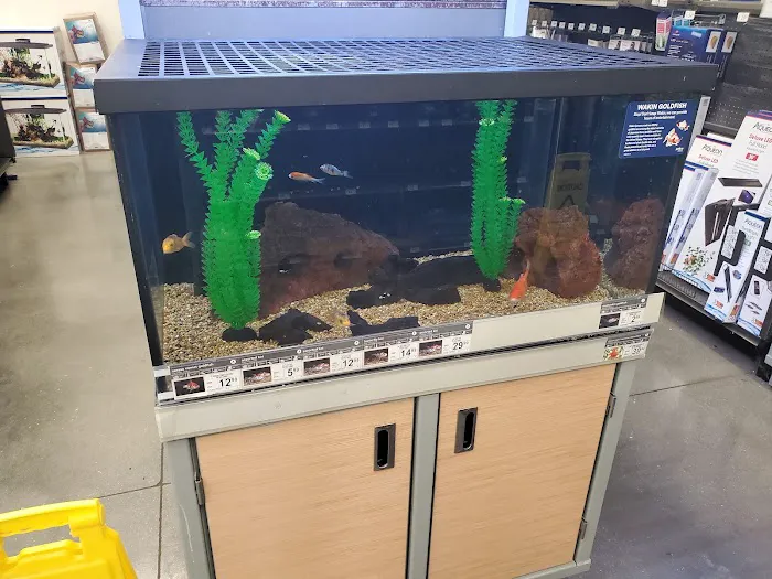 Petco 9