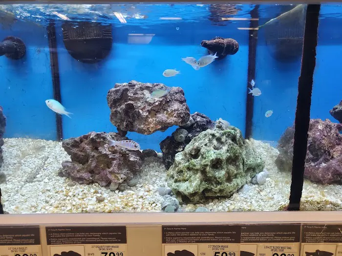 Petco 6
