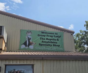 CRAZY FROG LADY L.L.C.